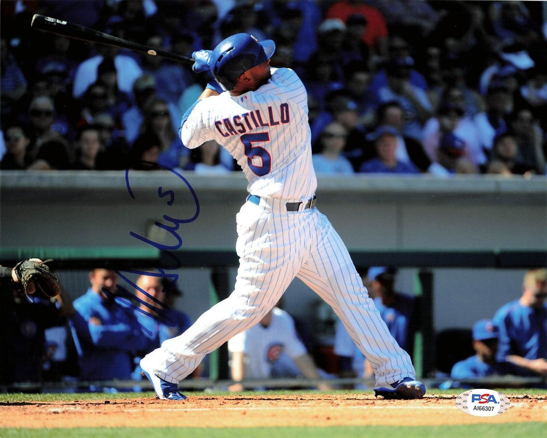 Welington Castillo signed 8x10 photo Chicago Cubs PSA/DNA Autographed Image 1