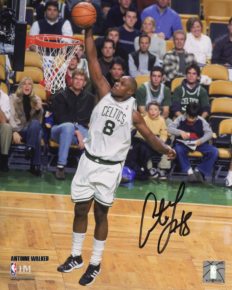 Antoine Walker Signed Boston Celtics Dunking Action 8x10 Photo - (SCHWARTZ COA) Image 1