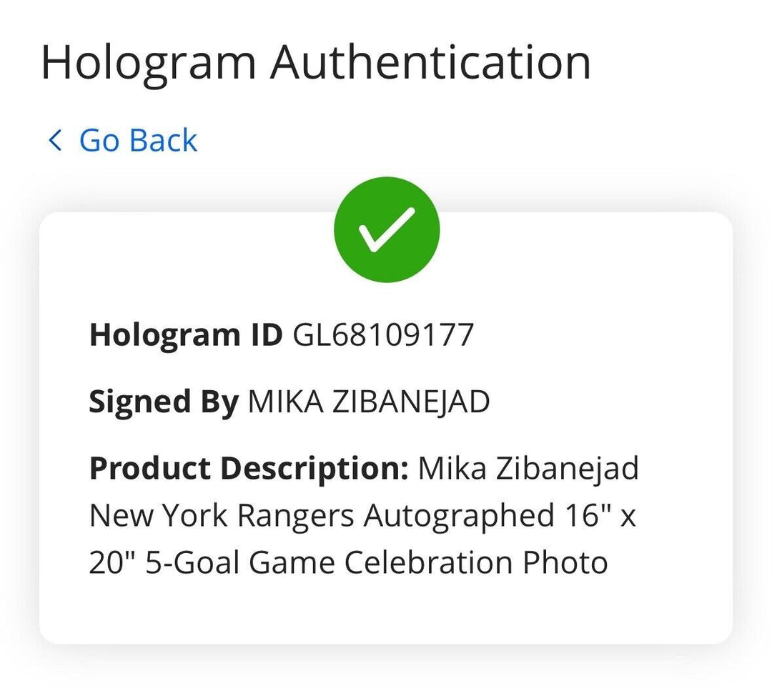 Mika Zibanejad Signed 16x20 Framed 5 Goal Game Photo Rangers Autograph Fanatics Image 5
