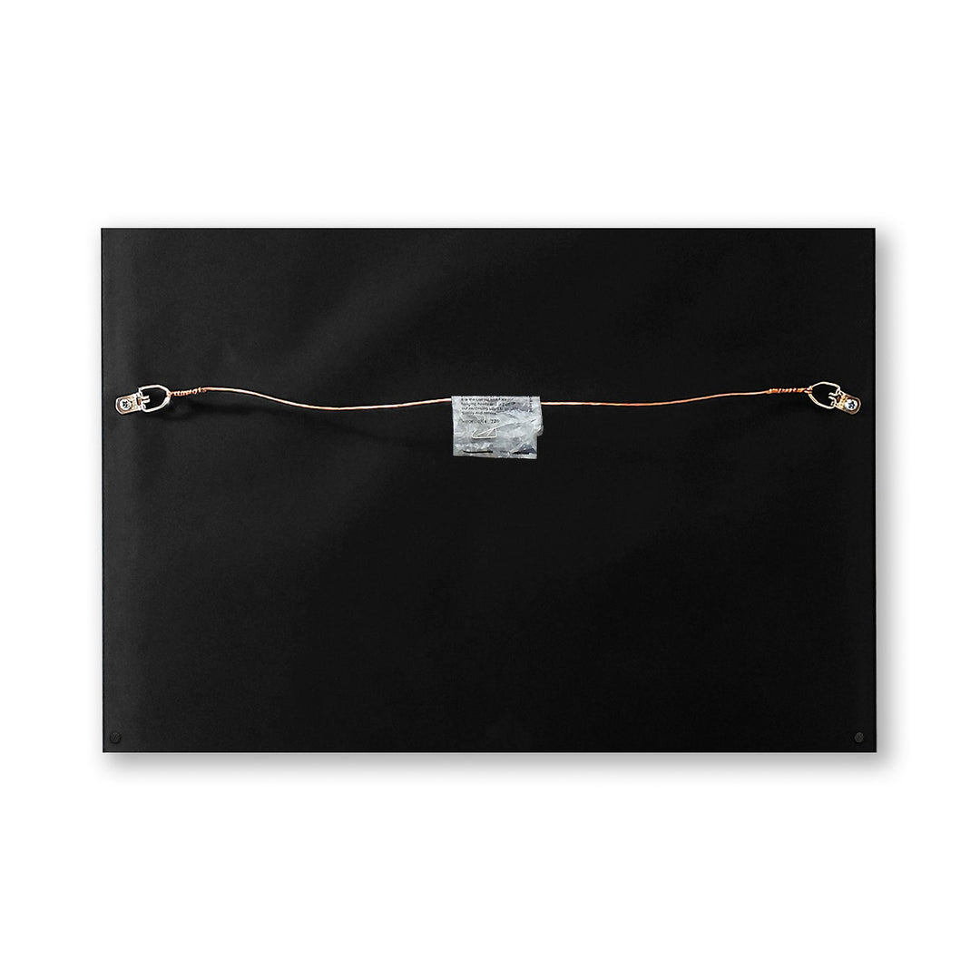 Abba Arrival Genuine Vinyl Record & Cover Professionally Framed 17.5 x 26.5 Wall Display with a Black Mat