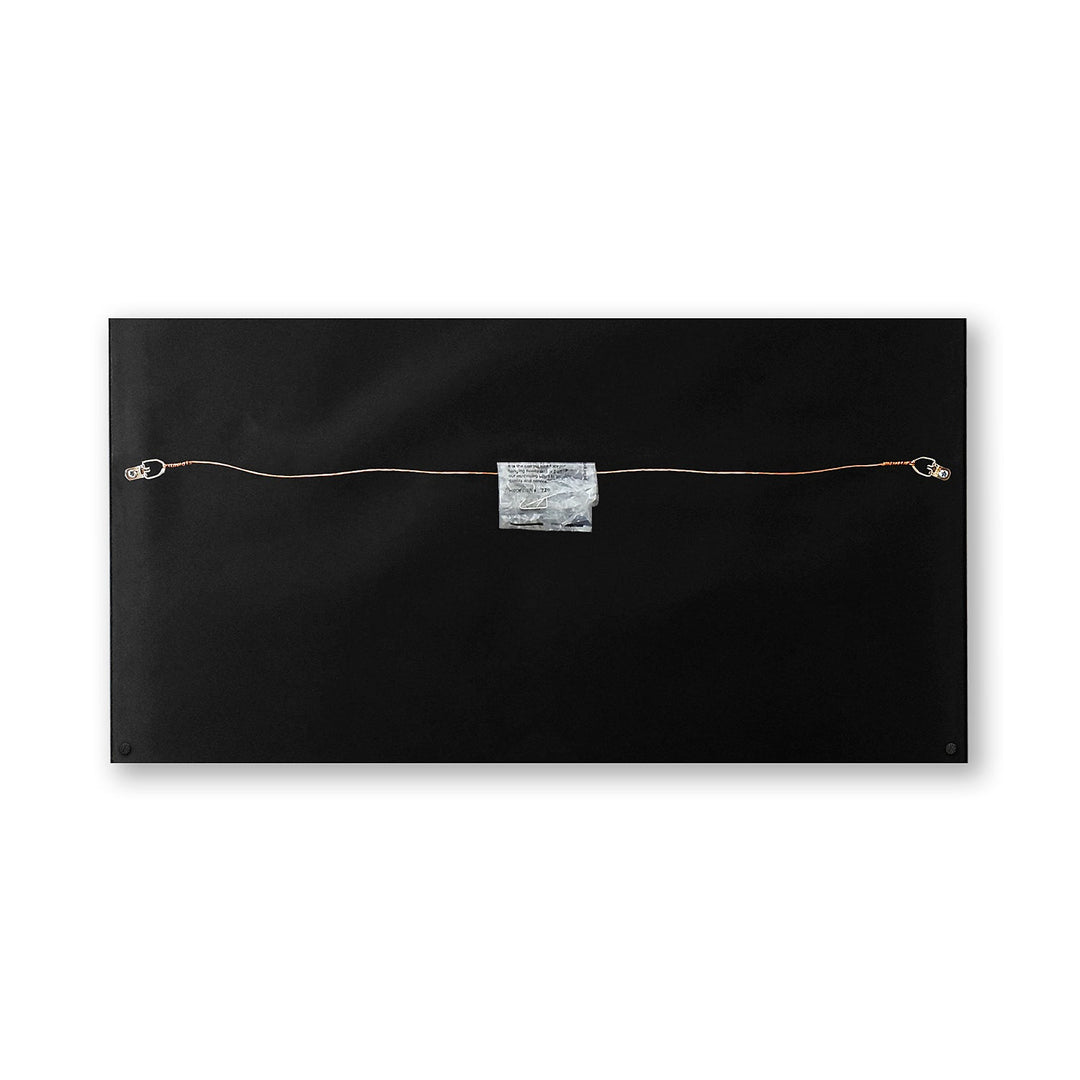 Anthrax Sound of White Noise  Genuine Double Vinyl Record & Cover Professionally Framed  Wall Display with a Black Mat