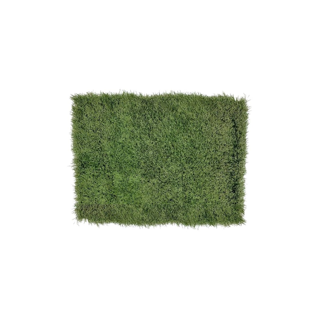 University of Michigan Authentic Michigan Stadium 18" x 30" Turf Doormat