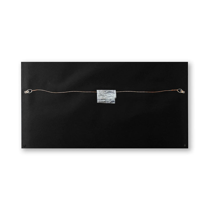 Bruce Springsteen The River Genuine Double Vinyl Records & Cover Professionally Framed  Wall Display with a Black Mat