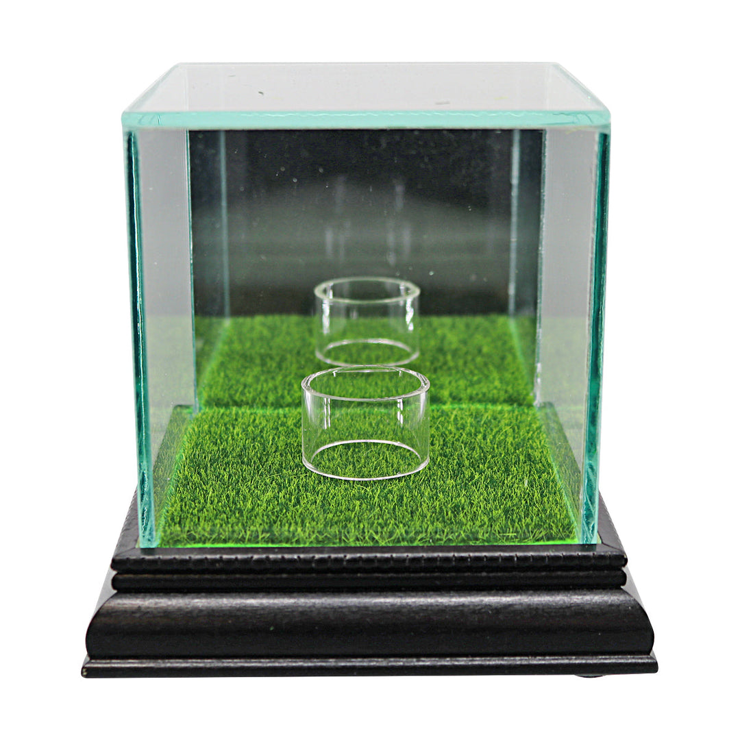 Glass Golf Ball Case with Wood Base and Putting Green Turf
