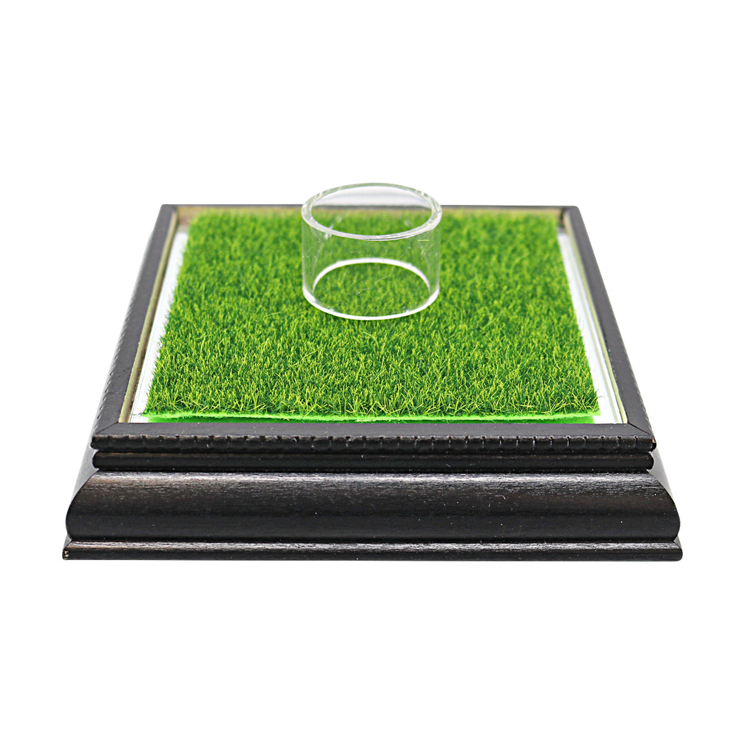 Glass Golf Ball Case with Wood Base and Putting Green Turf