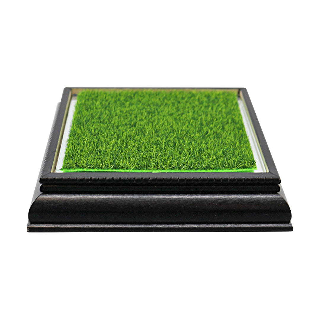 Glass Golf Ball Case with Wood Base and Putting Green Turf
