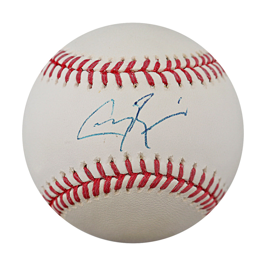 Greg Bird New York Yankees Autographed OMLB Baseball JSA Holo