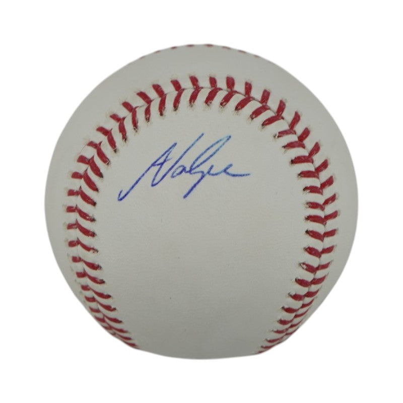 Anthony Volpe New York Yankees Autographed OMLB Baseball JSA COA