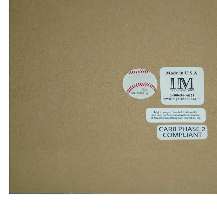 Jasson Dominguez New York Yankees Autographed Framed 16x20 Photo Mint Collage Fanatics/MLB Auth