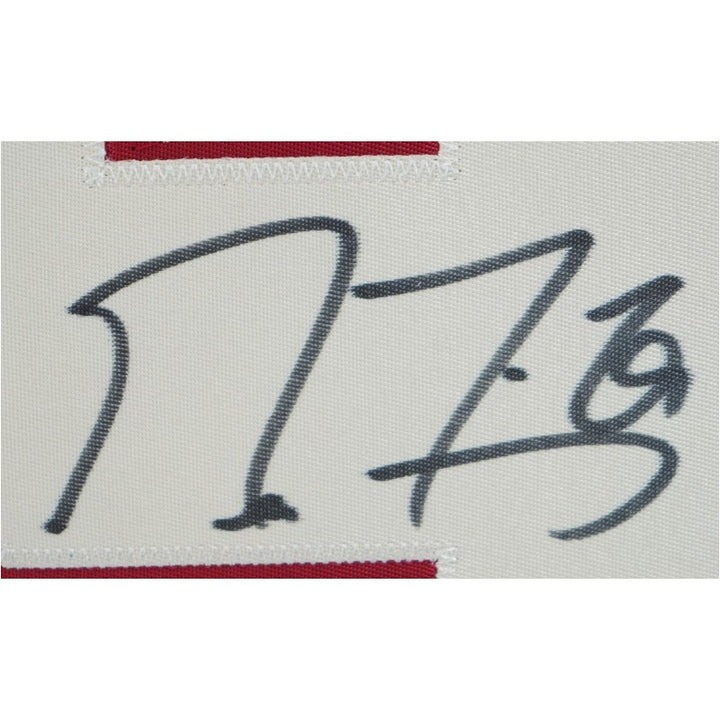 Marc-Andre Fleury Minnesota Wild Autographed Inscribed Framed Green Jersey LE 18/29 Fanatics Auth