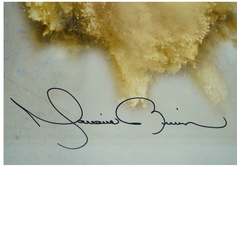 Mariano Rivera New York Yankees Autographed Framed 20x24 Photo Fanatics/MLB Auth