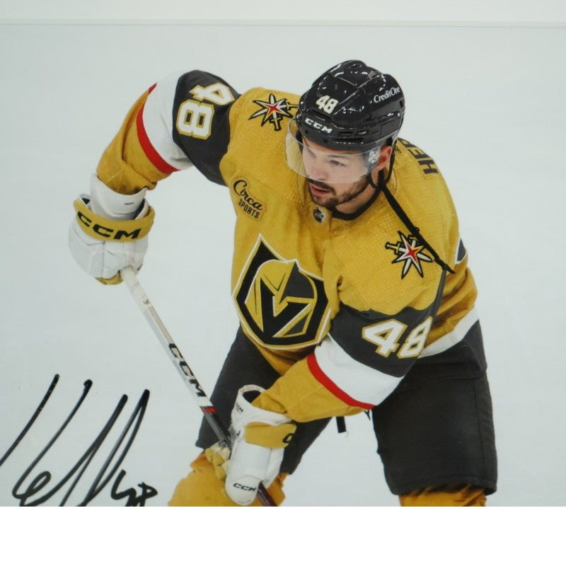 Tomas Hertl Las Vegas Golden Knights Autographed Framed 8x10 Photo Mint Collage M Auth