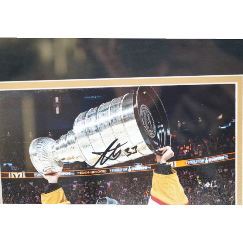 Whitecloud Hill Stone McNabb VGK Signed Framed 8x10 Photos HM Collage Fanatics Holo LE 1/23