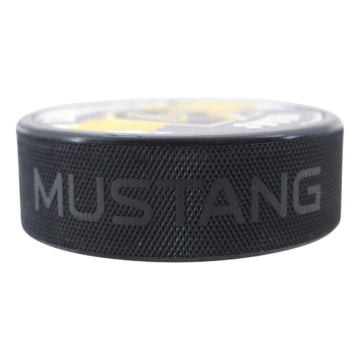 Vegas Golden Knights Splash Puck