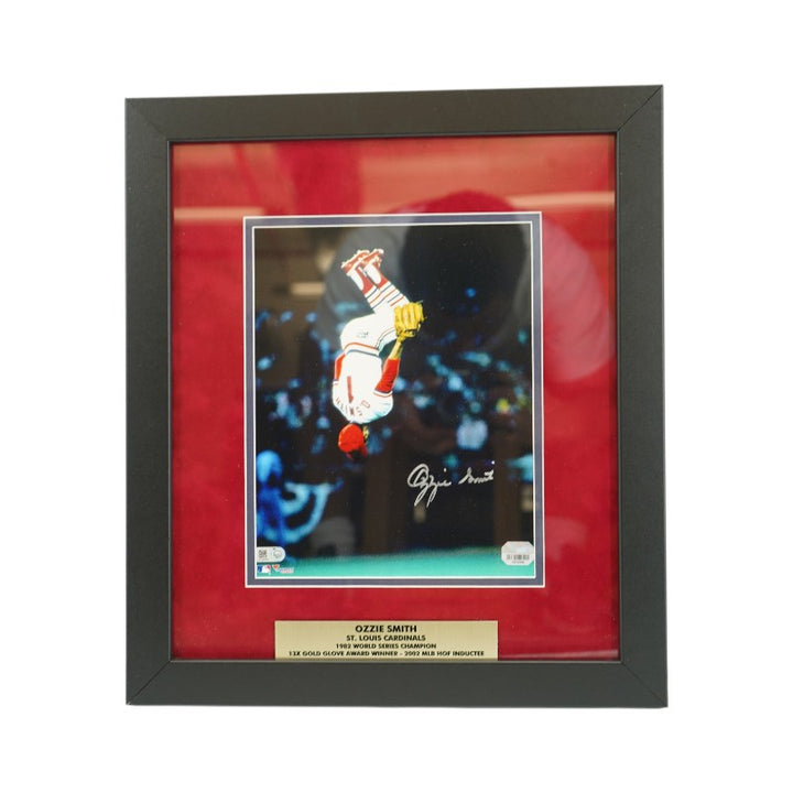 Ozzie Smith St. Louis Cardinals Autographed Framed 8x10 Photo Fanatics Holo / MLB Auth