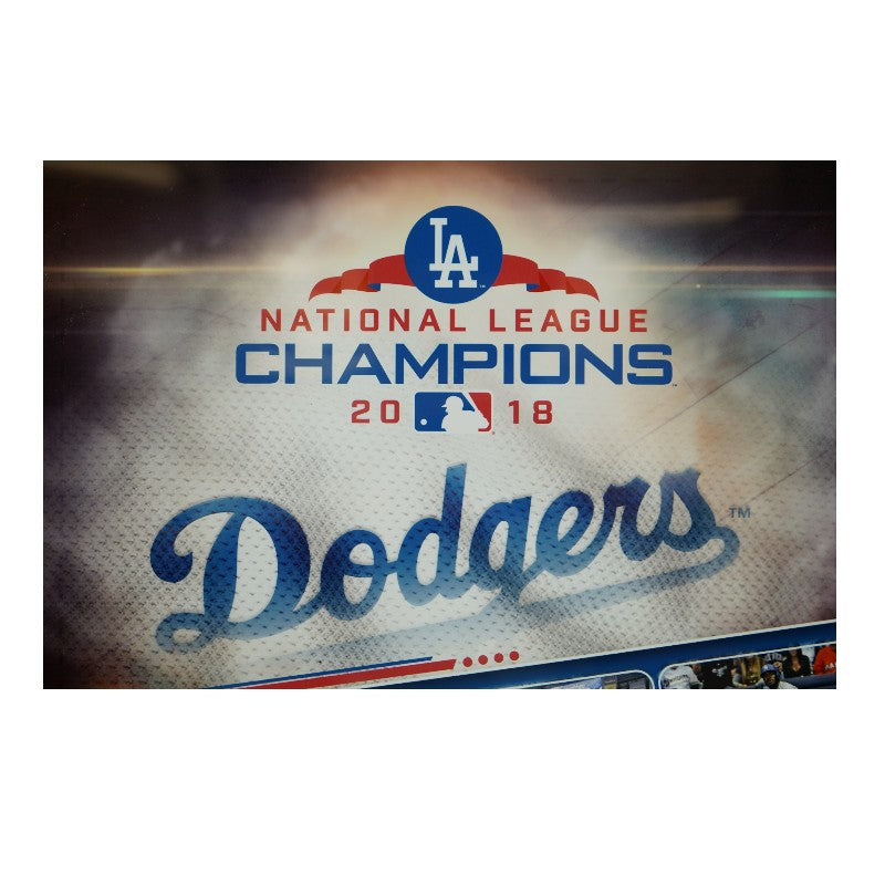 Los Angeles Dodgers Framed 2018 NLCS Baseball Relic MLB AUTH