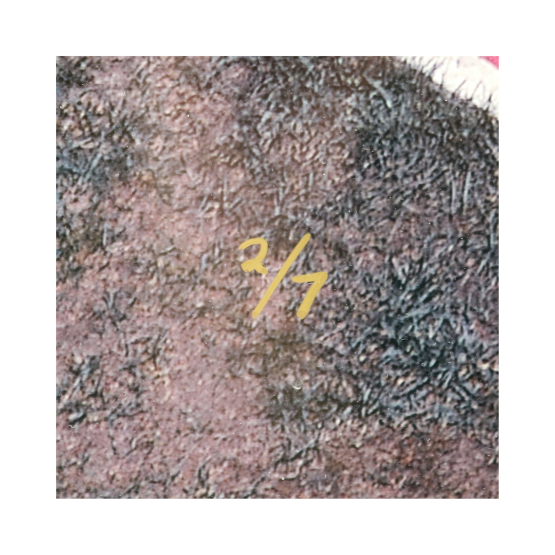 Mantle Jeter Yankees Autographed Signed 16x20 17 Autos MLB/All American LOA