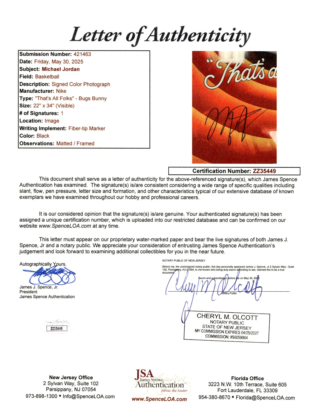 Michael Jordan Chicago Bulls Autographed Signed Space Jam Poster (JSA LOA)