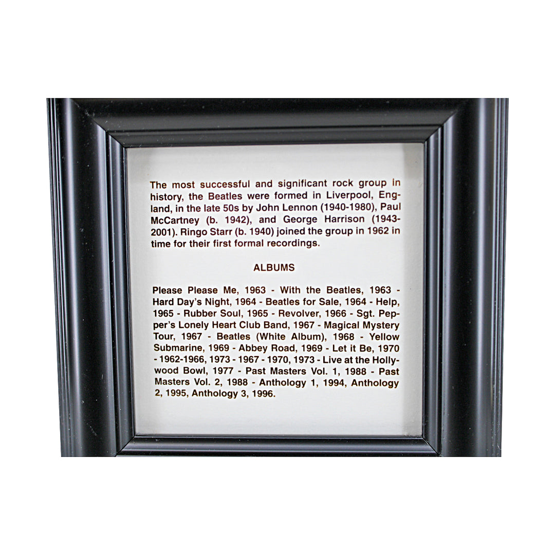 The Beatles SGT Pepper's Lonely Hearts Club Framed Guitar & Record Collage 34x43