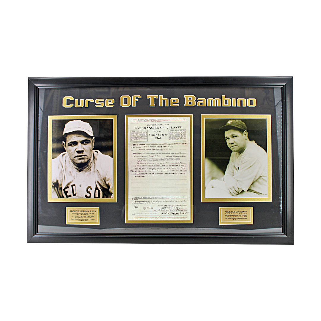 Babe Ruth New York Yankees The Career of the Bambino Framed Collage 20x32