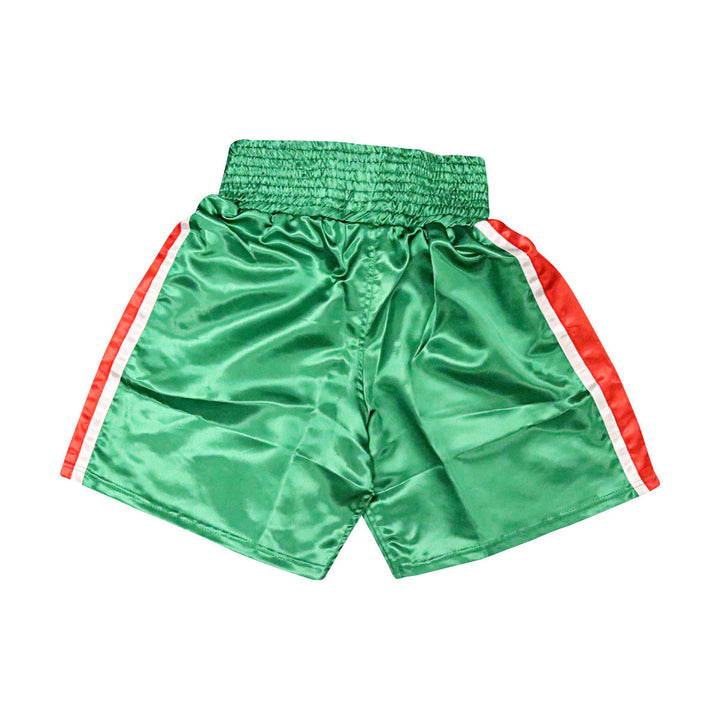 Ray Boom Boom Mancini Boxer Autographed Signed Green Pro-Style Trunks (JSA COA)