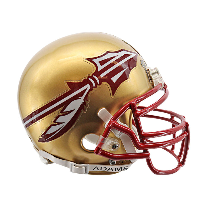 Florida State Seminoles Riddell Team Issued Full Size Authentic Football Helmet