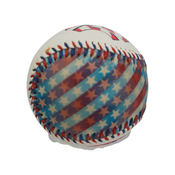 New York Yankees United States Holographic Fotoball