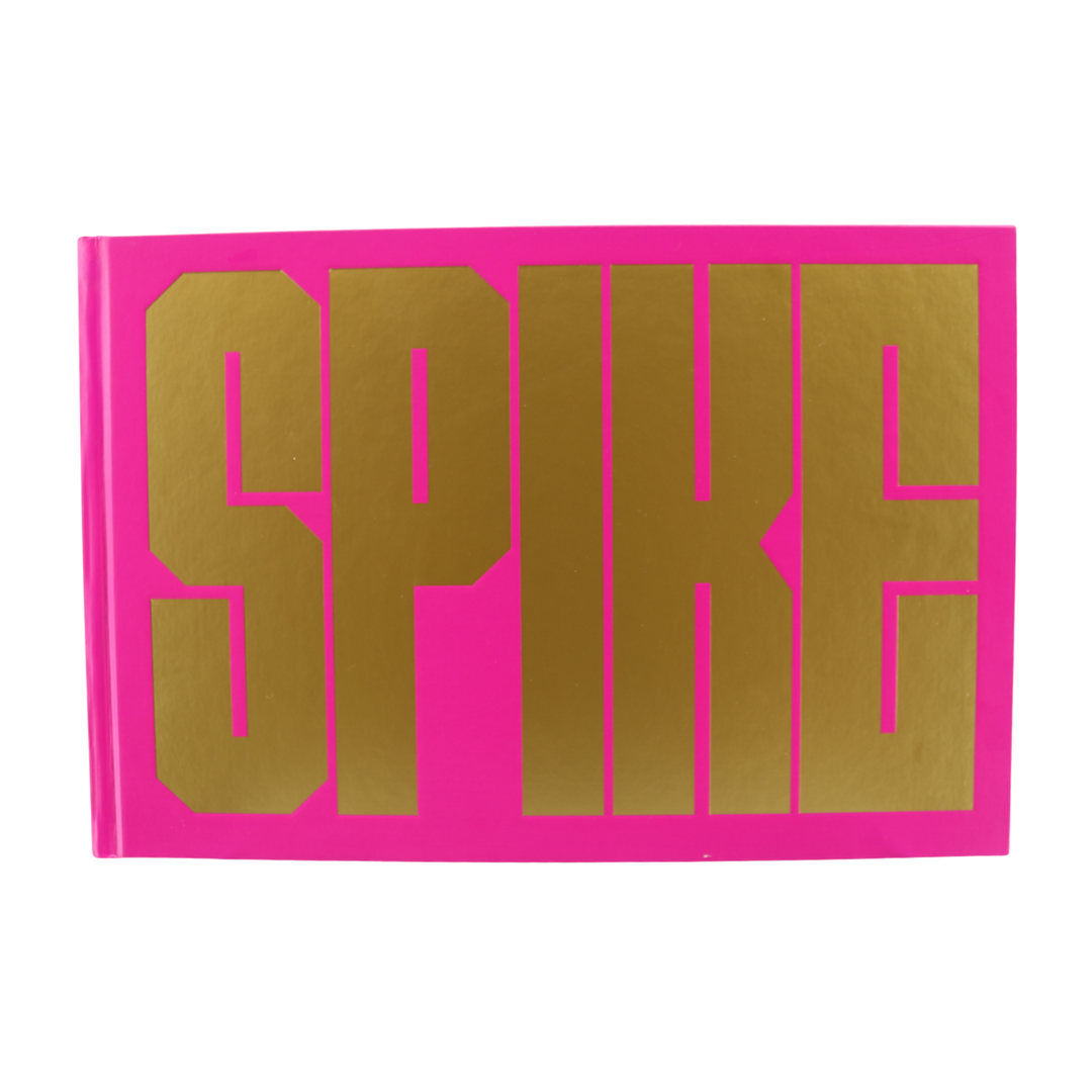 Spike Lee Pink Cover Career Novel Autographed Signed Inscribed Book