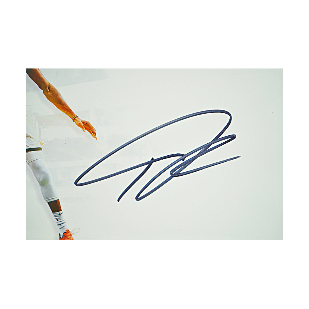 Giannis Antetokounmpo Milwaukee Bucks Autographed Framed Panoramic Photo Fanatics Auth