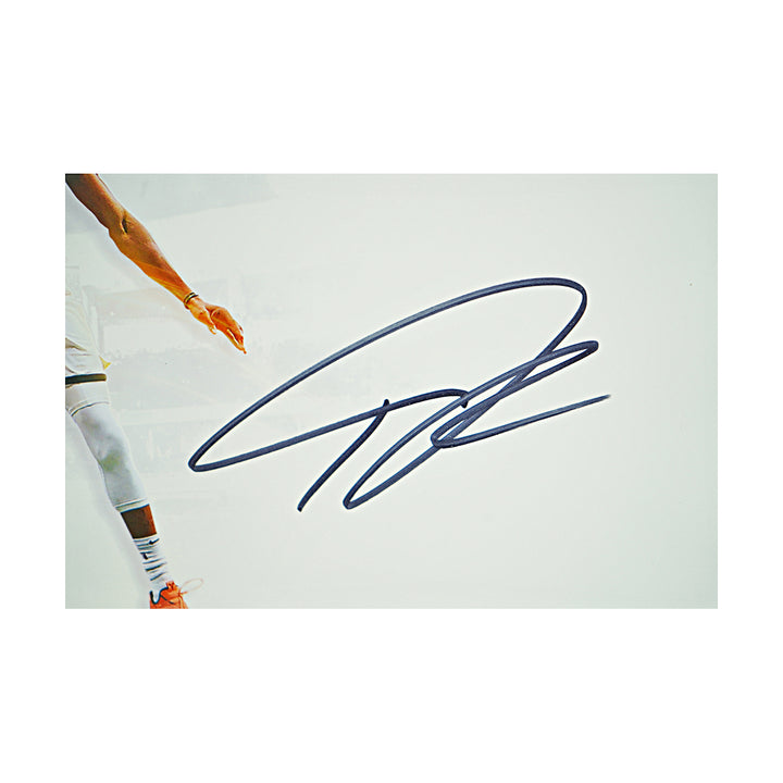 Giannis Antetokounmpo Milwaukee Bucks Autographed Framed Panoramic Photo Fanatics Auth