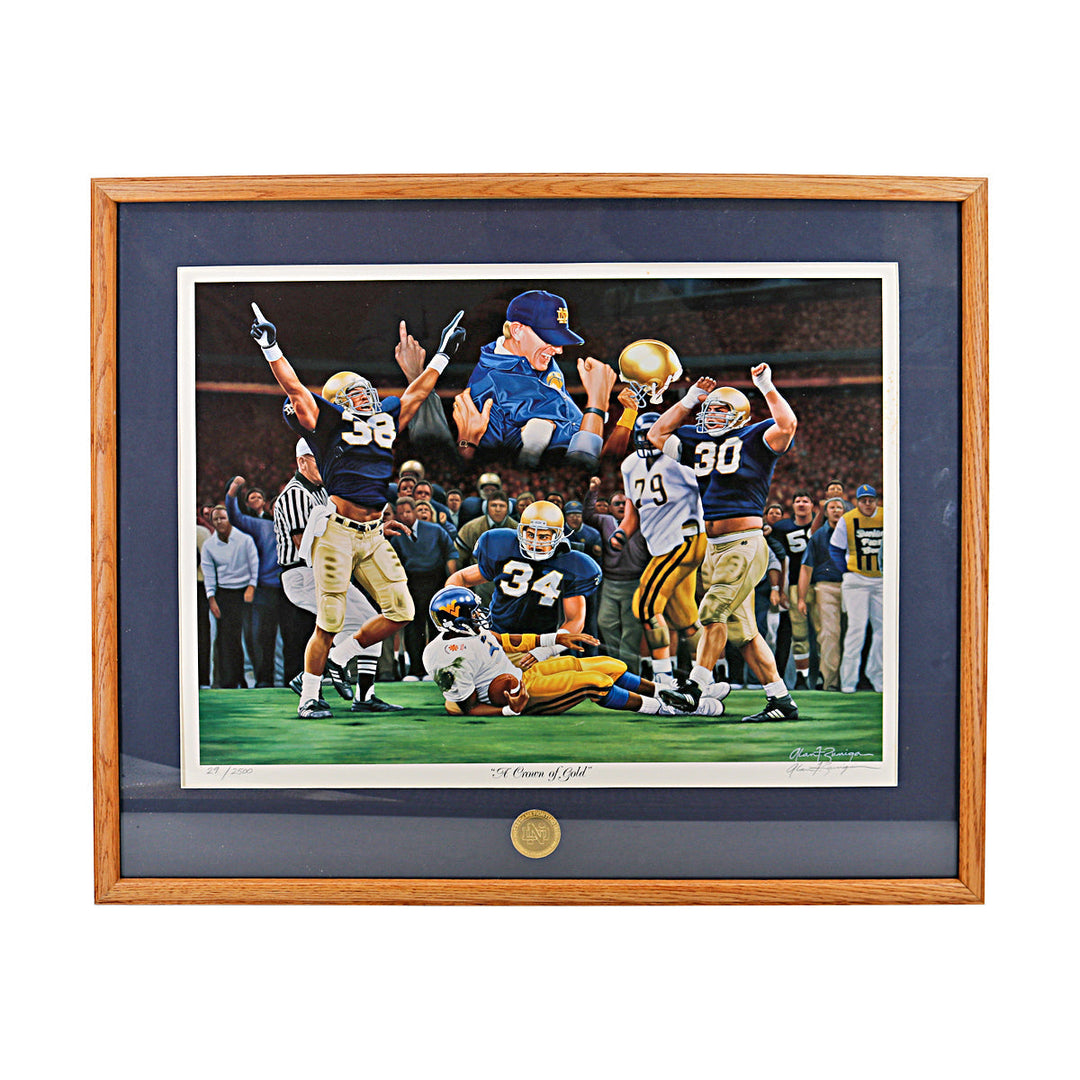 Notre Dame Stadium Fighting Irish Framed Photo