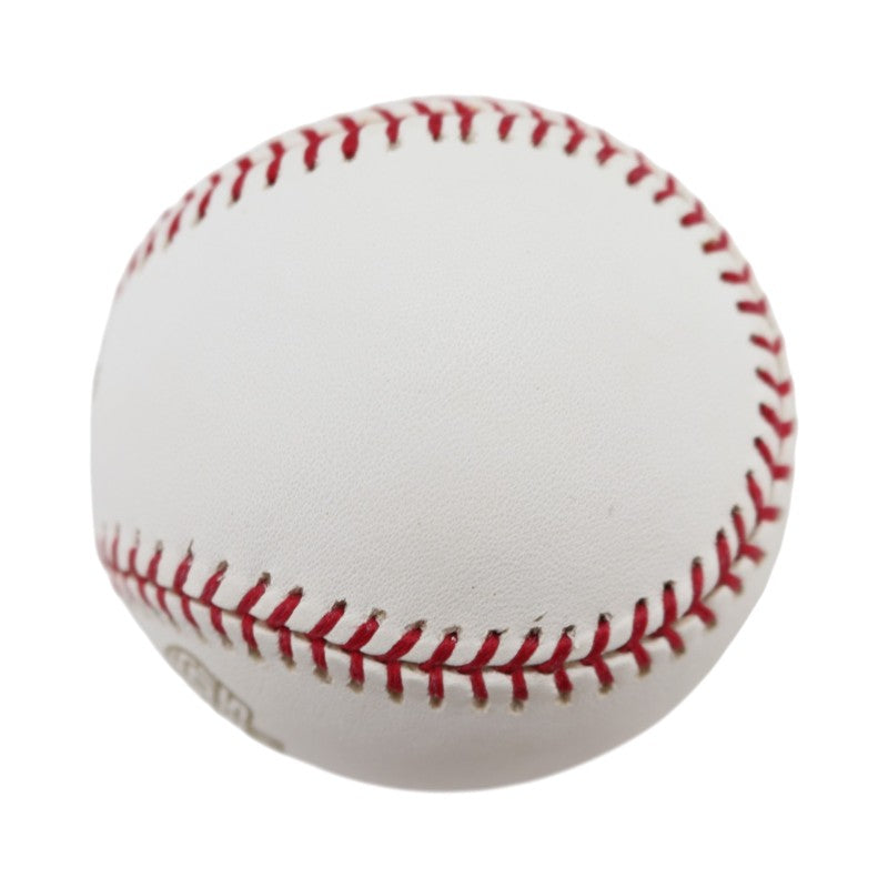Boston Red Sox 2004 World Series Official Logo Baseball (1)
