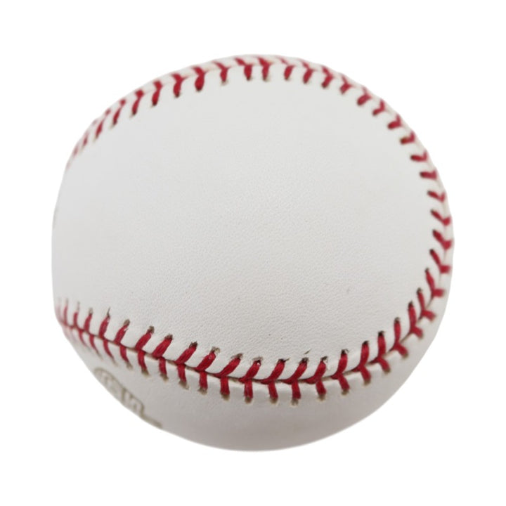 Boston Red Sox 2004 World Series Official Logo Baseball (1)