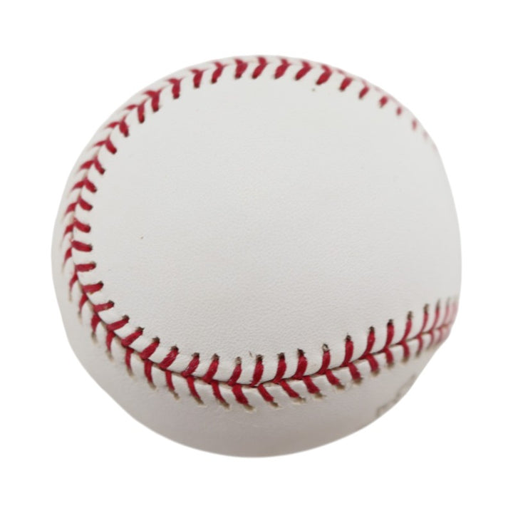 Boston Red Sox 2004 World Series Official Logo Baseball (1)