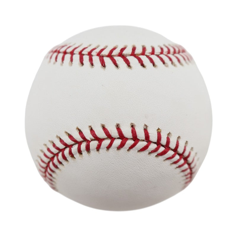 Boston Red Sox 2004 World Series Official Logo Baseball (1)