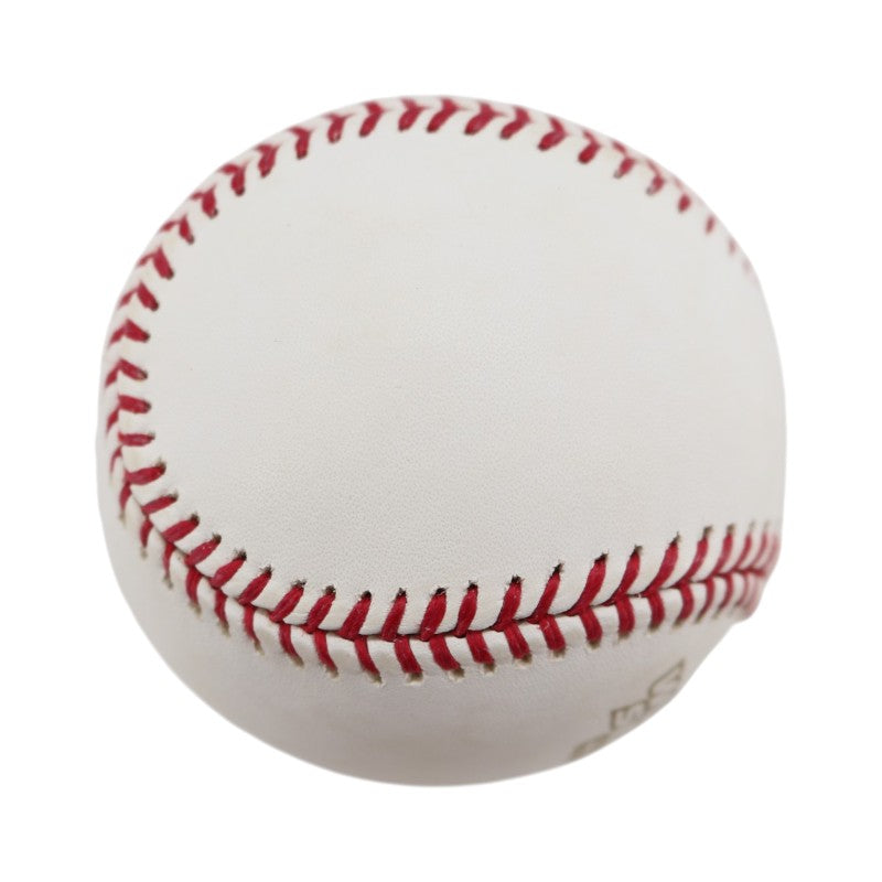 Boston Red Sox 2004 World Series Official Logo Baseball (2)