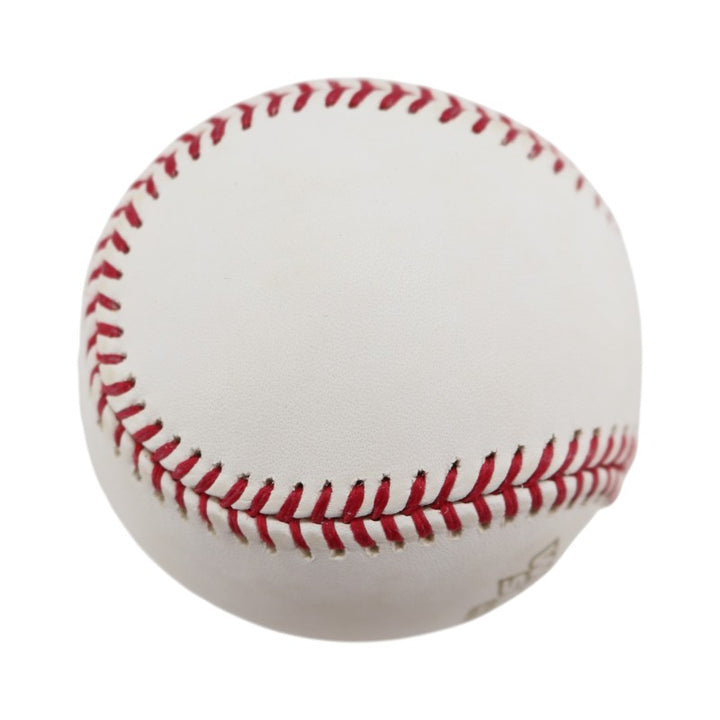 Boston Red Sox 2004 World Series Official Logo Baseball (2)