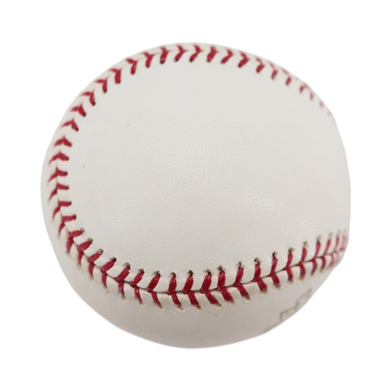 Boston Red Sox 2004 World Series Official Logo Baseball (3)
