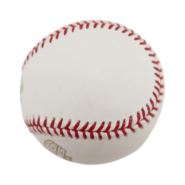 Boston Red Sox 2004 World Series Official Logo Baseball (4)