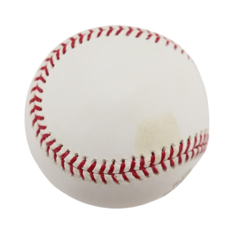 Boston Red Sox 2004 World Series Official Logo Baseball (4)
