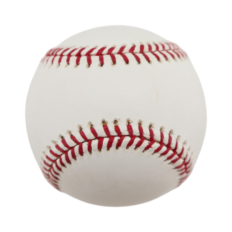 Boston Red Sox 2004 World Series Official Logo Baseball (4)