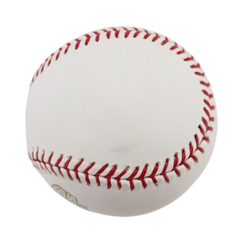 Boston Red Sox 2004 World Series Official Logo Baseball (5)