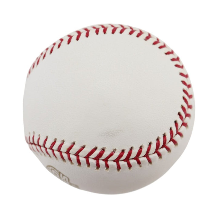 Boston Red Sox 2004 World Series Official Logo Baseball (5)
