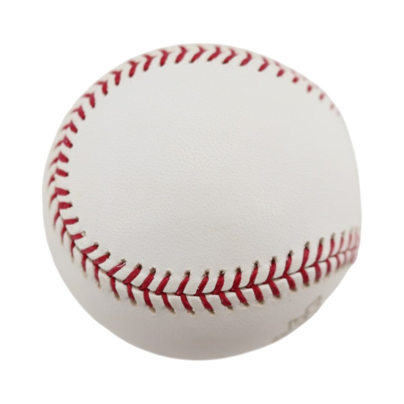 Boston Red Sox 2004 World Series Official Logo Baseball (5)