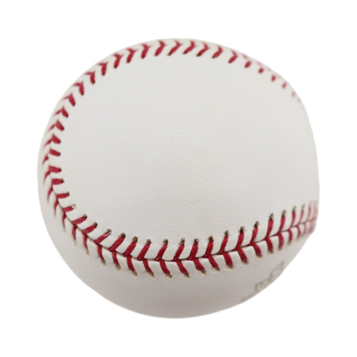 Boston Red Sox 2004 World Series Official Logo Baseball (5)