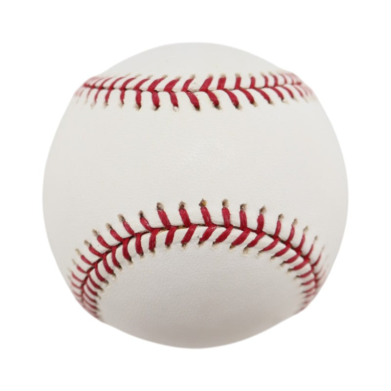 Boston Red Sox 2004 World Series Official Logo Baseball (5)