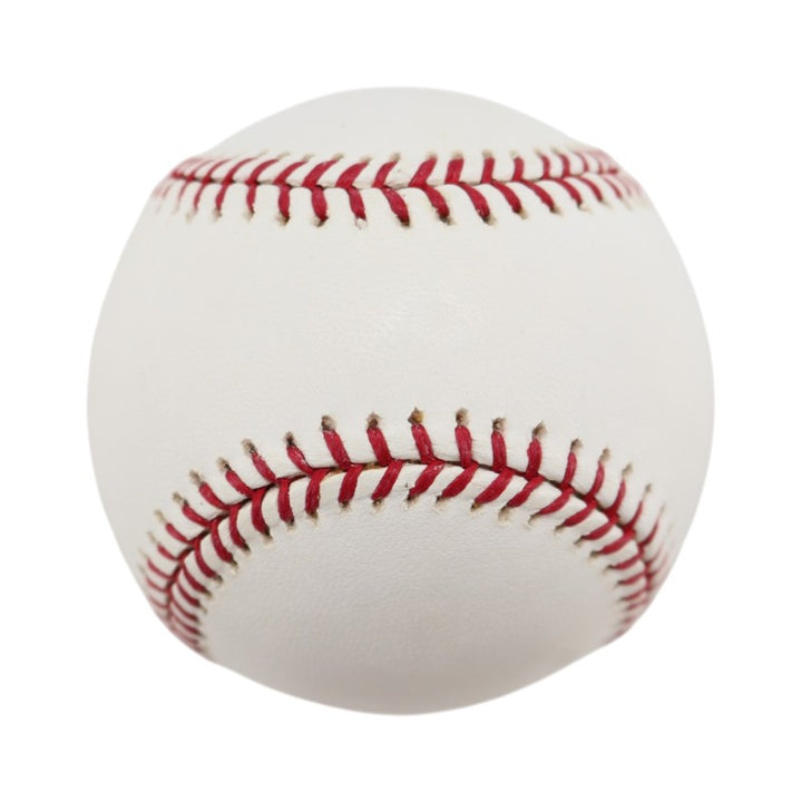 Boston Red Sox 2004 World Series Official Logo Baseball (5)