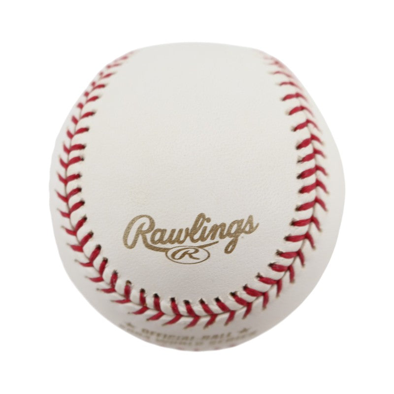 Boston Red Sox 2004 World Series Official Logo Baseball (5)