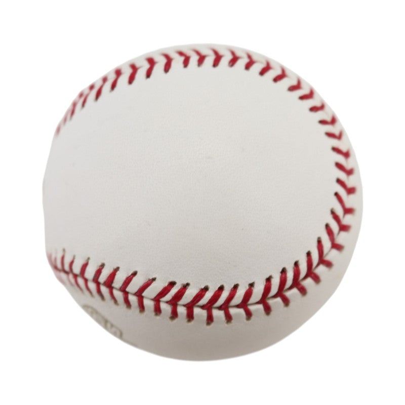 Boston Red Sox 2004 World Series Official Logo Baseball (6)