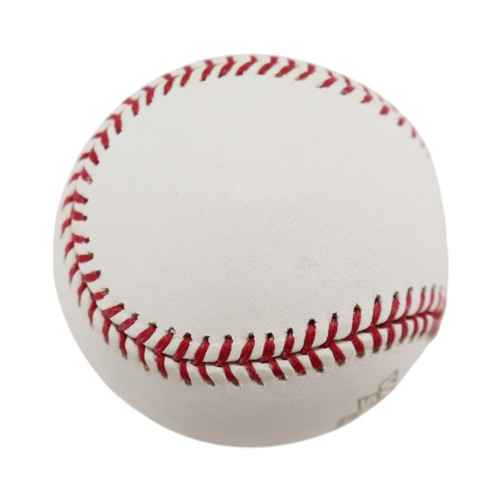 Boston Red Sox 2004 World Series Official Logo Baseball (6)